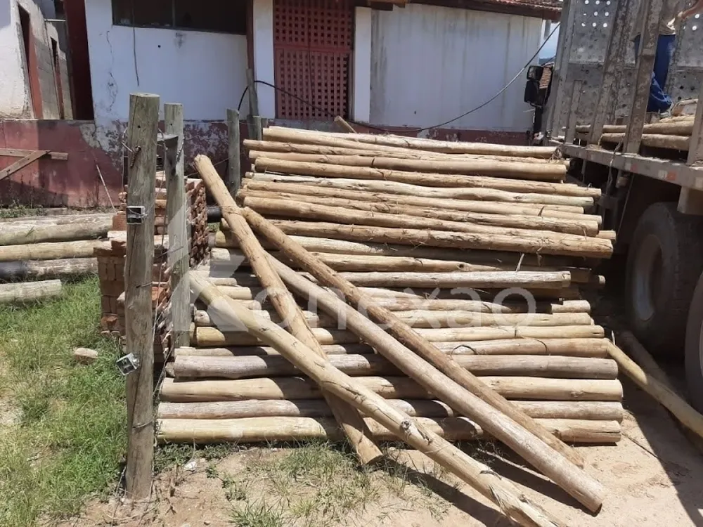 Fazenda, 250 m² - Foto 6