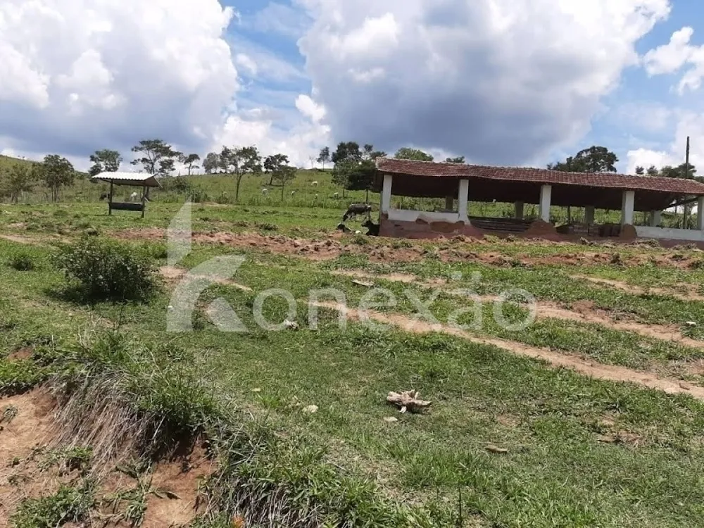 Fazenda, 250 m² - Foto 10