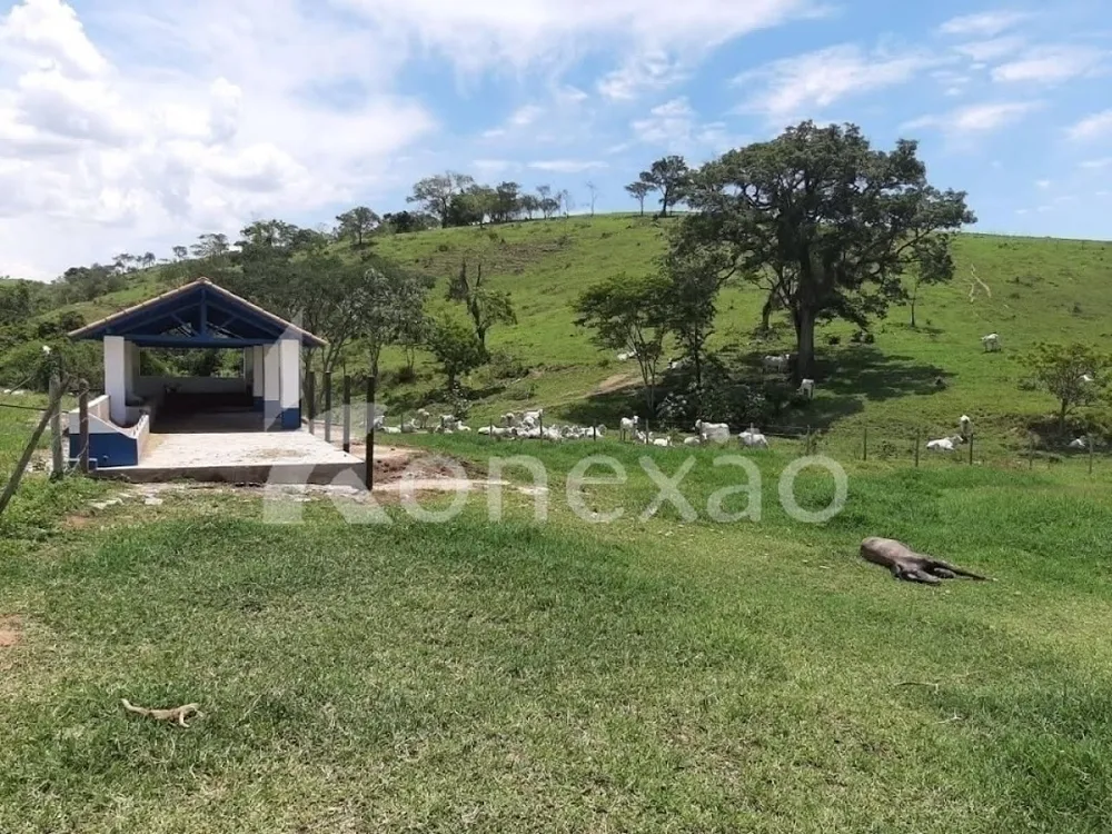 Fazenda, 250 m² - Foto 11