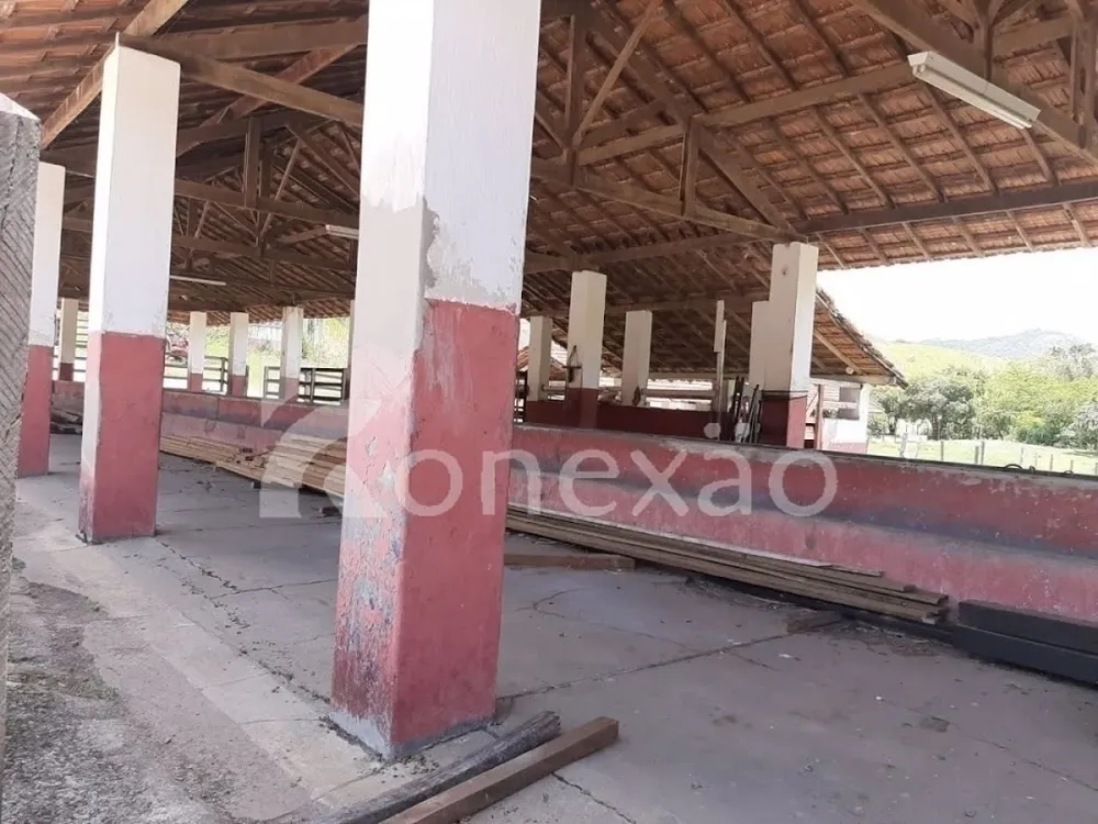 Fazenda, 250 m² - Foto 3