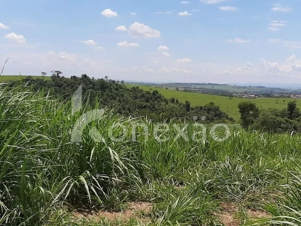Fazenda, 250 m² - Foto 7