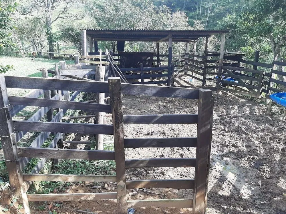 Sítio, 2 quartos, 100 m² - Foto 4