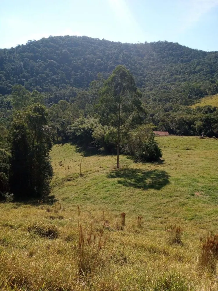 Fazenda, 100 m² - Foto 5