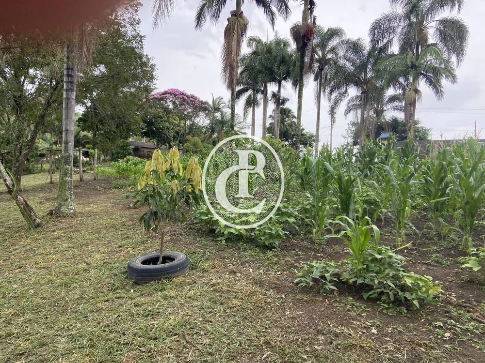 Chácara, 3 quartos, 1 hectares - Foto 9