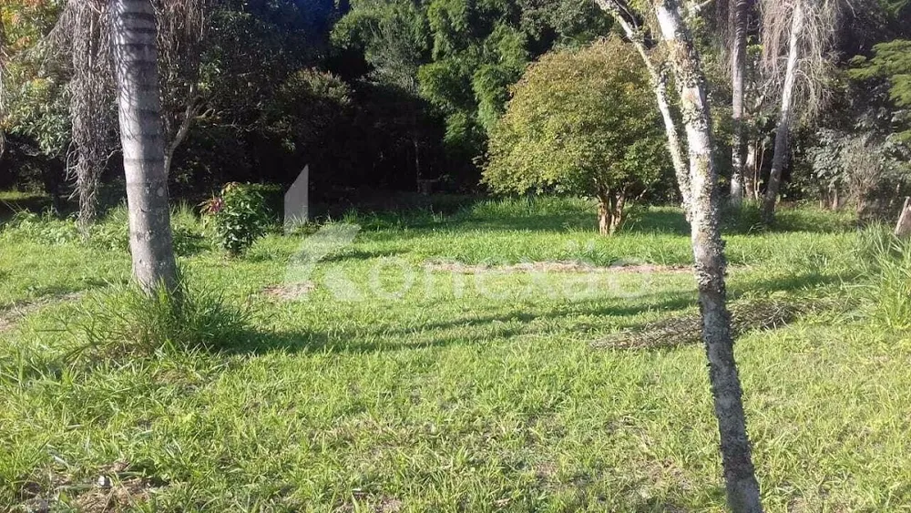 Sítio, 3 quartos, 300 m² - Foto 5