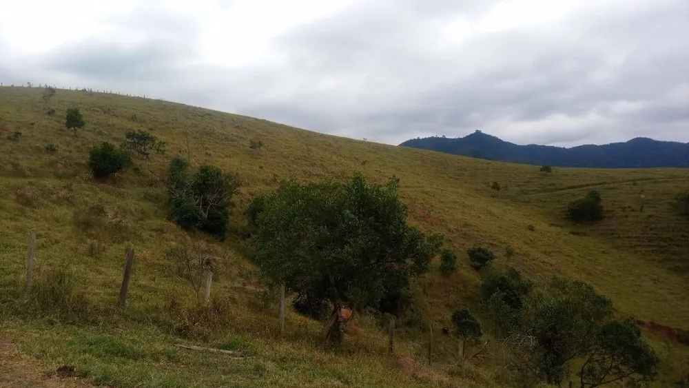 Fazenda, 200 m² - Foto 11