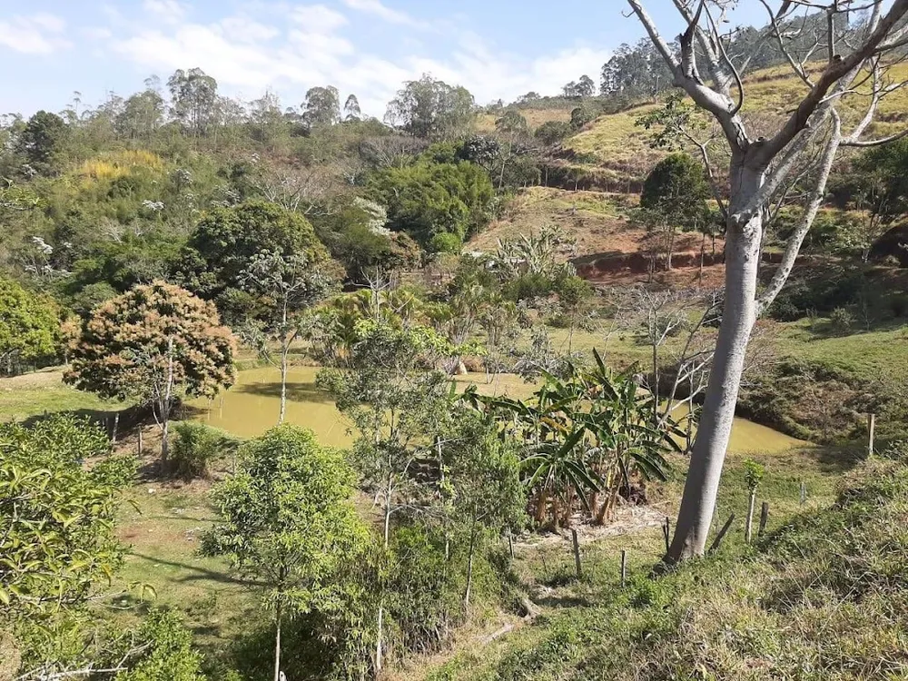 Fazenda, 200 m² - Foto 14