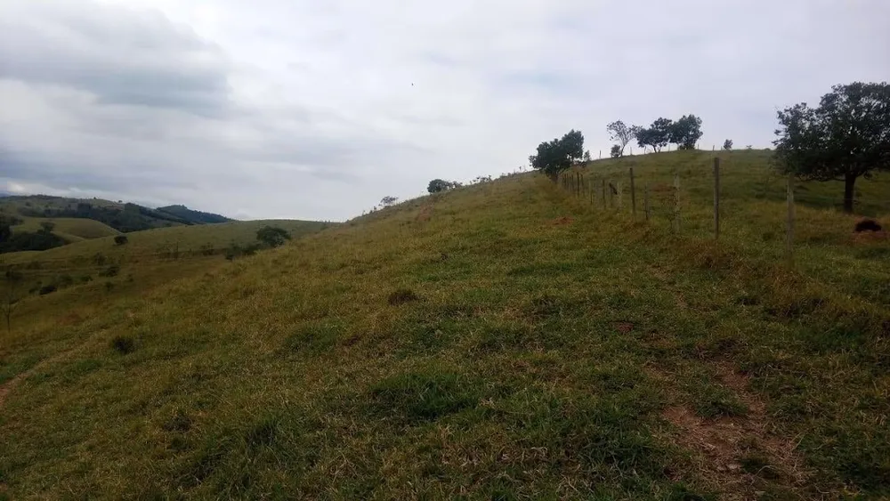 Fazenda, 200 m² - Foto 10
