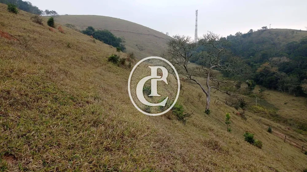 Terreno, 24 hectares - Foto 4