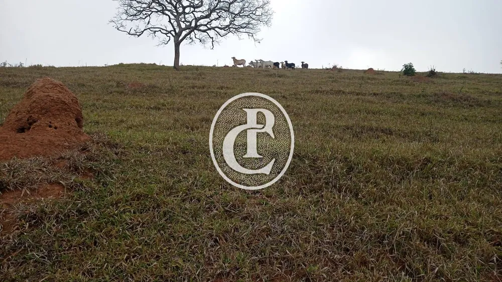 Terreno, 24 hectares - Foto 3