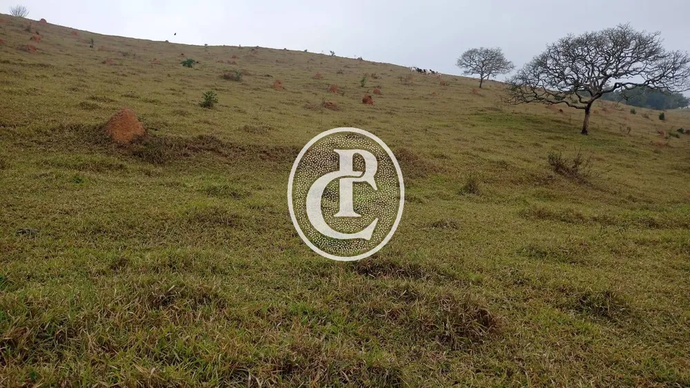 Terreno, 24 hectares - Foto 6