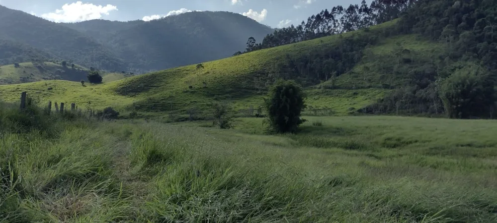 Fazenda, 100 m² - Foto 3