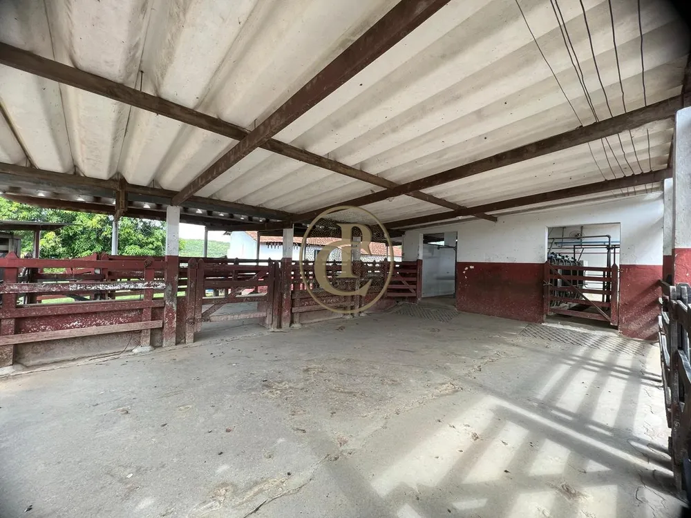 Fazenda, 6000 m² - Foto 2
