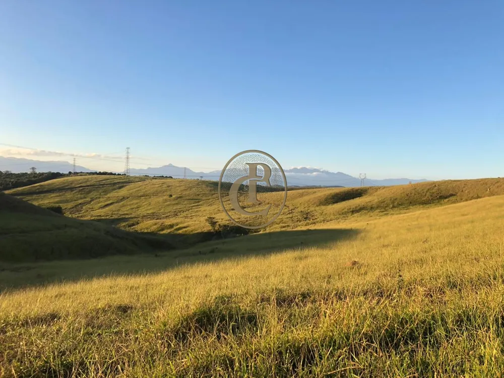 Fazenda, 6000 m² - Foto 8