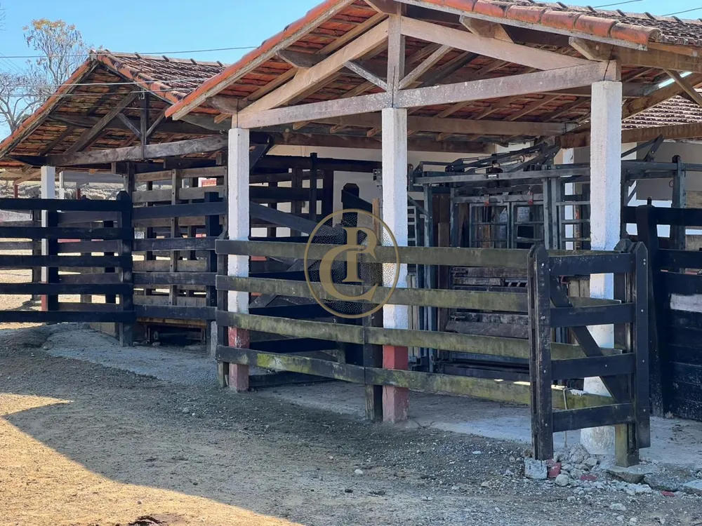 Fazenda, 6000 m² - Foto 7