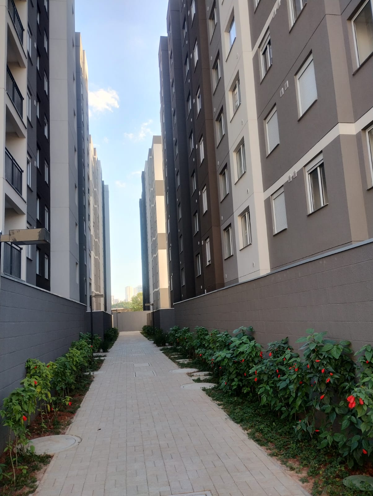 Apartamento à venda e aluguel com 2 quartos, 38m² - Foto 1