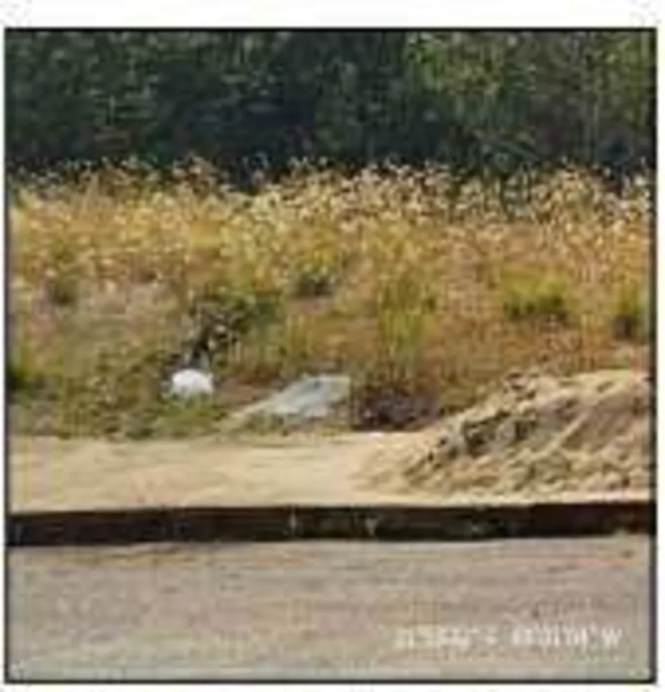 Terreno - Foto 1
