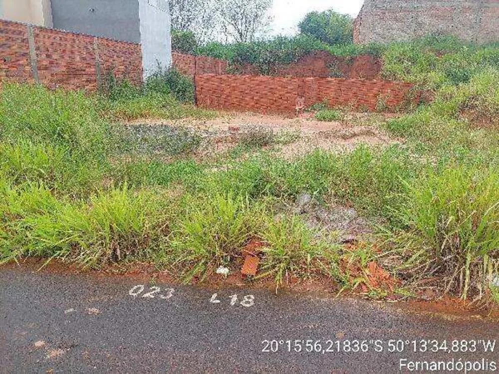 Terreno - Foto 1