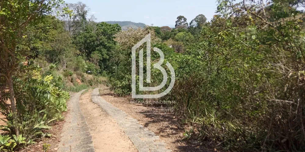 Terreno, 7 hectares - Foto 6