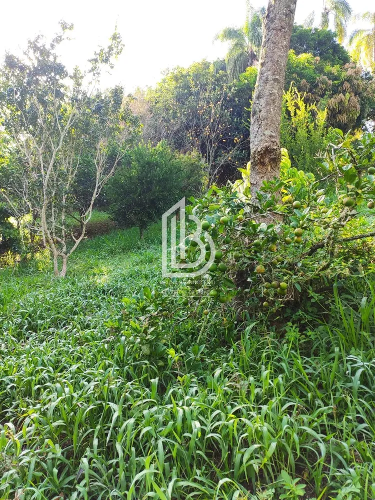 Chácara, 3 quartos, 3 hectares - Foto 6