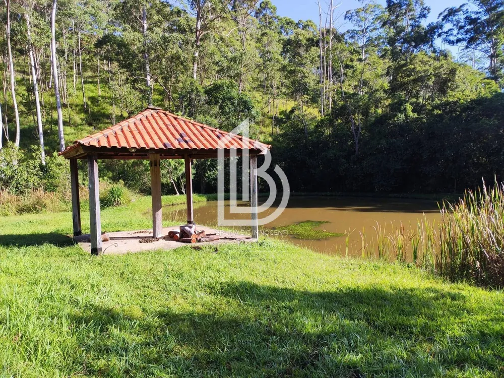Chácara, 3 quartos, 3 hectares - Foto 3