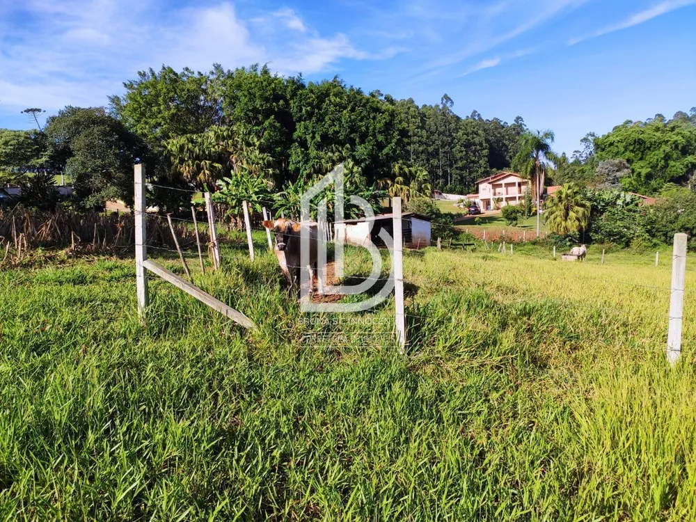 Chácara, 3 quartos, 3 hectares - Foto 4