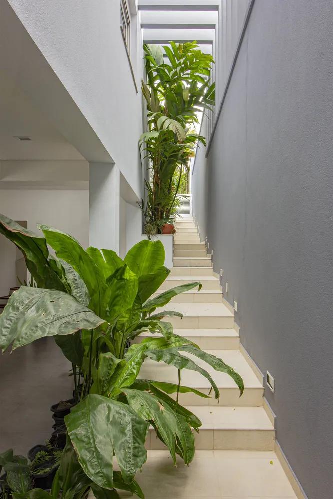 Sobrado, 4 quartos, 550 m² - Foto 1