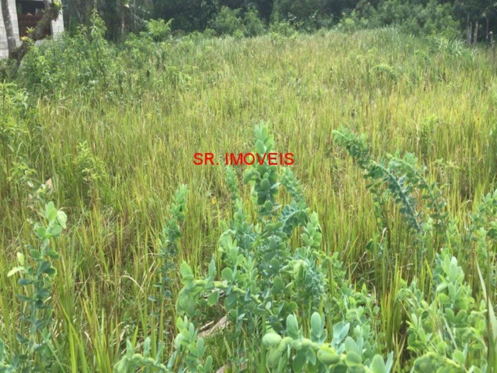 Terreno, 300 m² - Foto 1