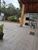 Casa, 4 quartos, 127 m² - Foto 1