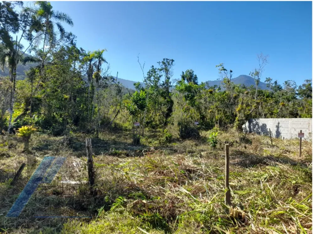 Terreno, 300 m² - Foto 4