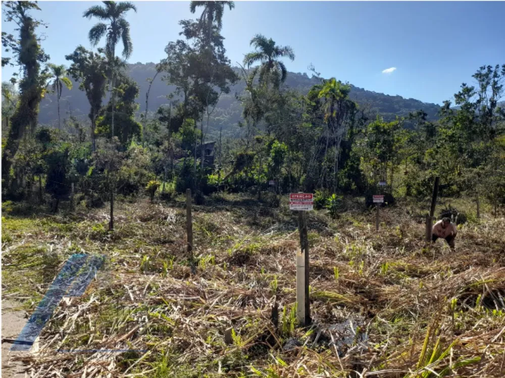 Terreno, 300 m² - Foto 3