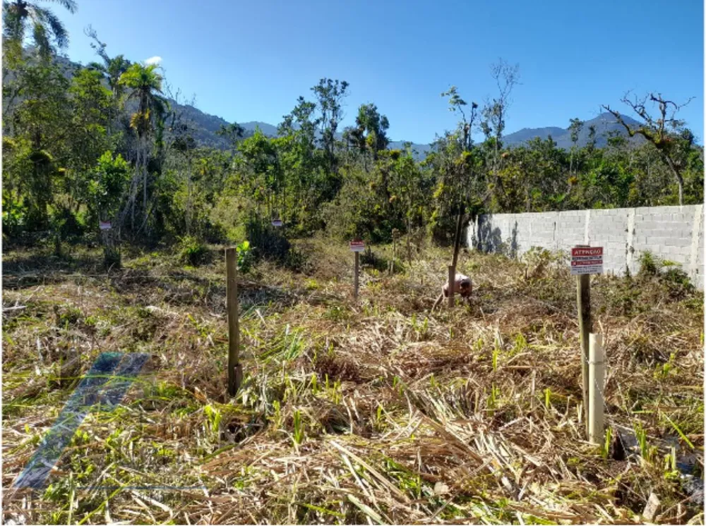 Terreno, 300 m² - Foto 1