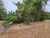 Terreno, 556 m² - Foto 1