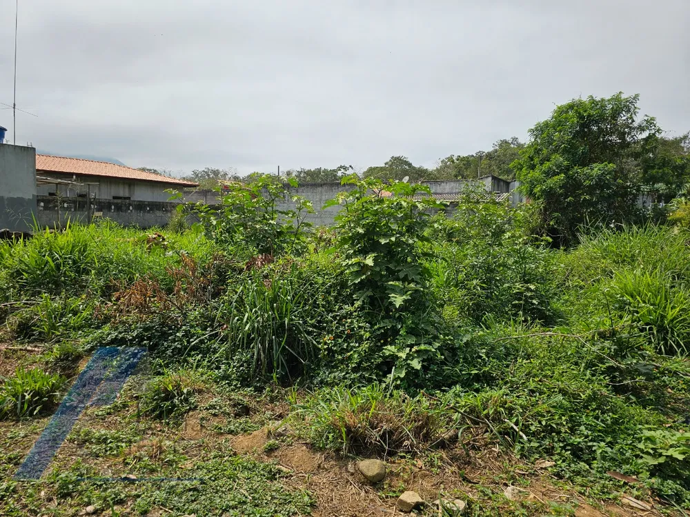 Terreno, 560 m² - Foto 8