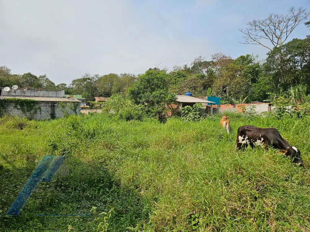 Terreno, 560 m² - Foto 11