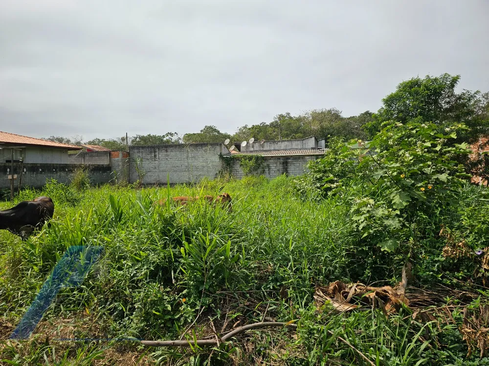 Terreno, 560 m² - Foto 7