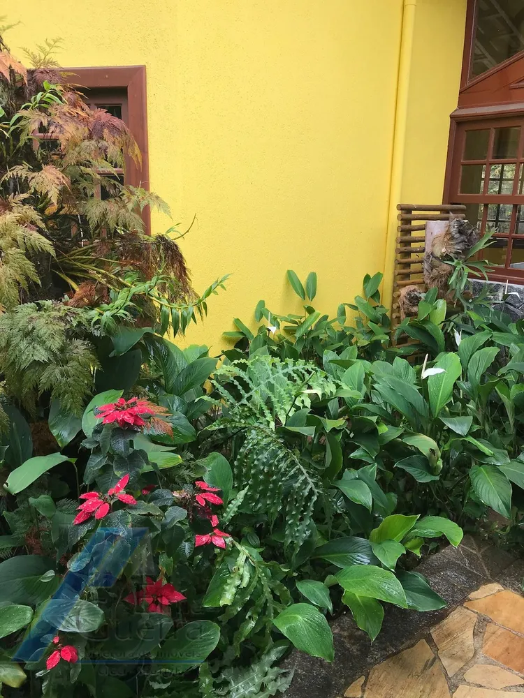 Casa, 4 quartos, 320 m² - Foto 2
