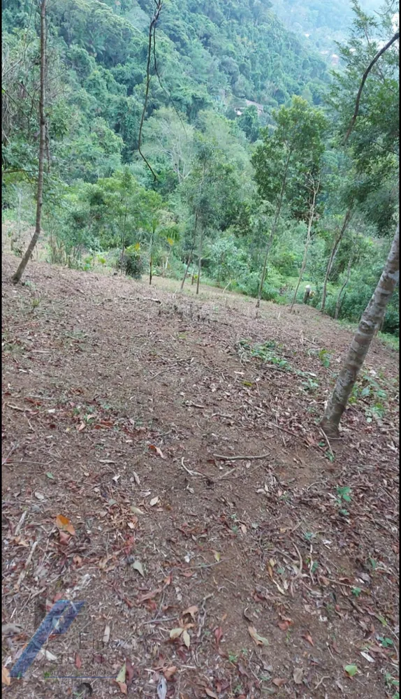 Terreno, 2096 m² - Foto 8