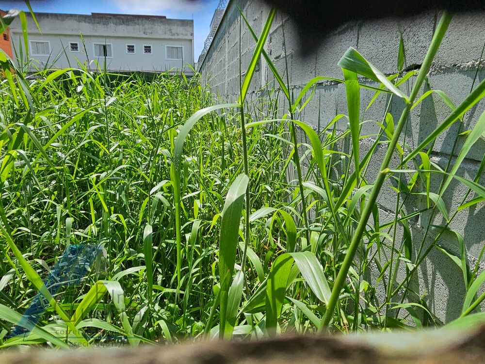 Terreno, 450 m² - Foto 2