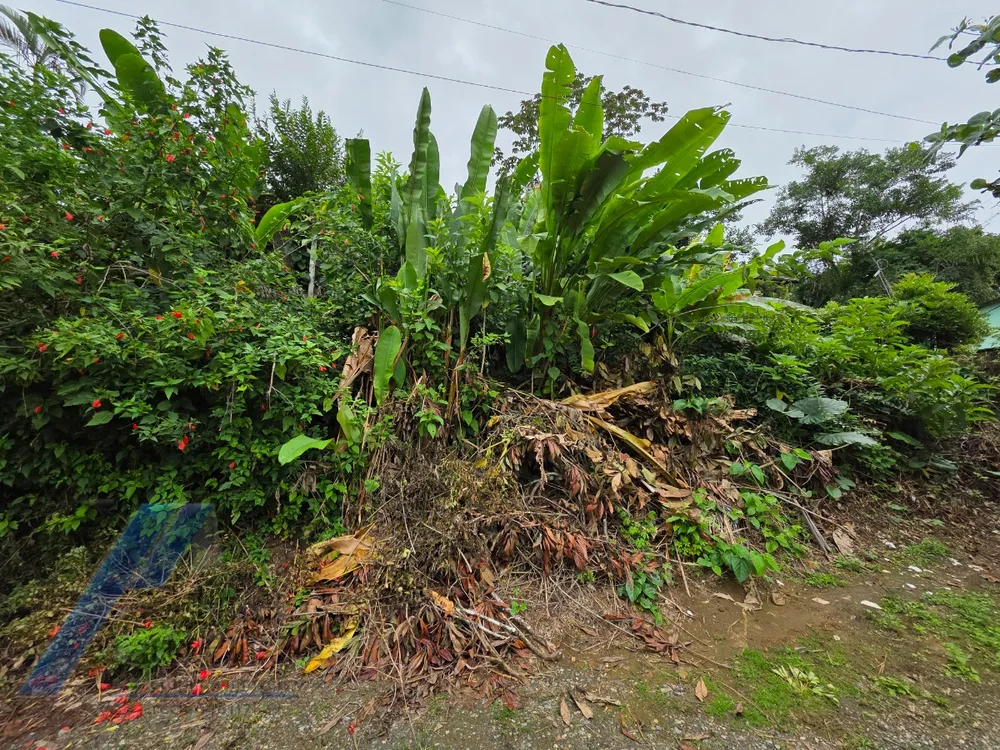 Terreno, 360 m² - Foto 7