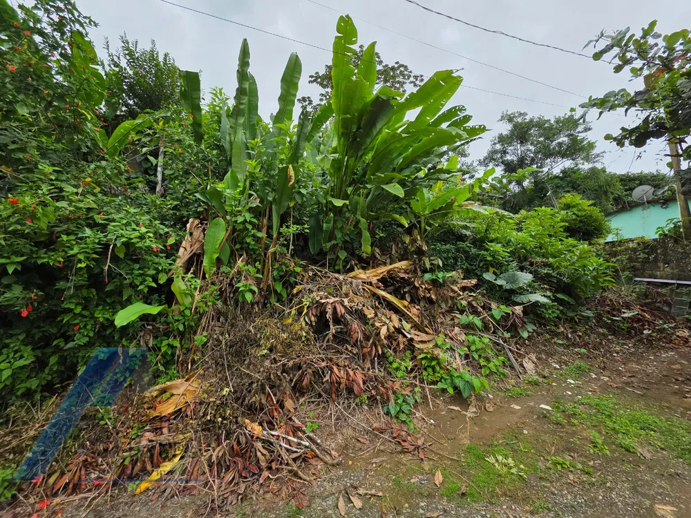 Terreno, 360 m² - Foto 6