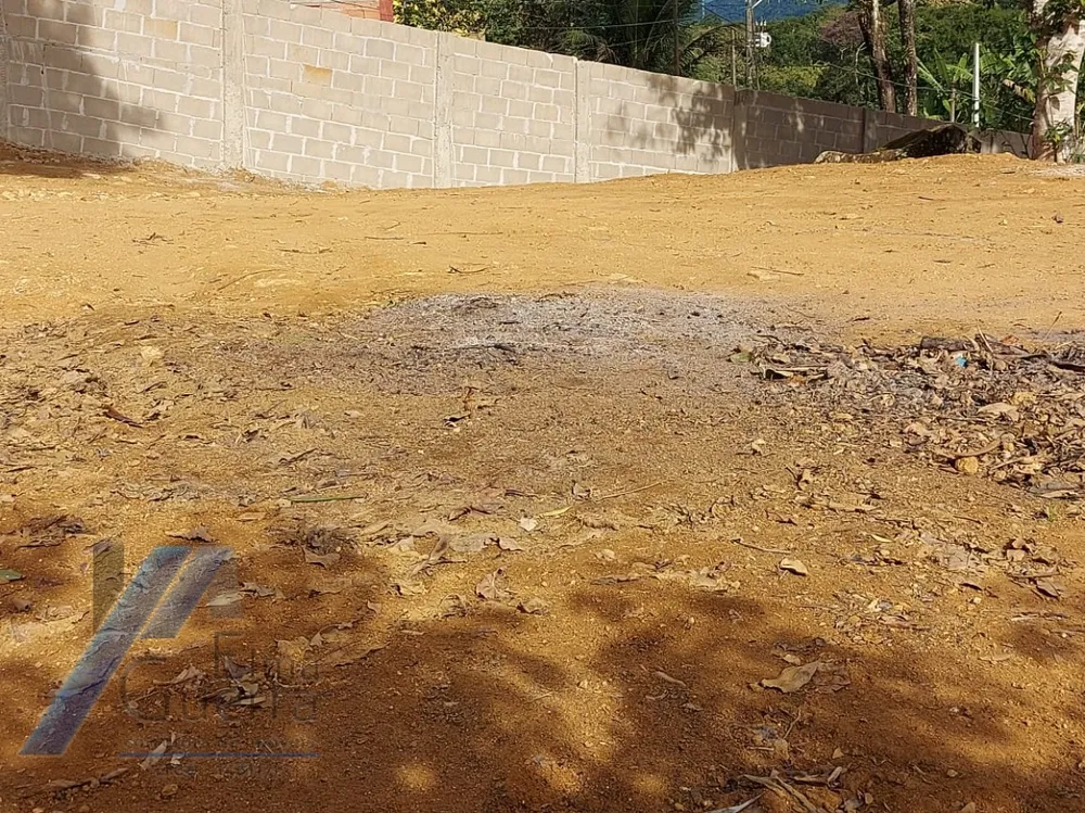 Casa, 3 quartos, 202 m² - Foto 6