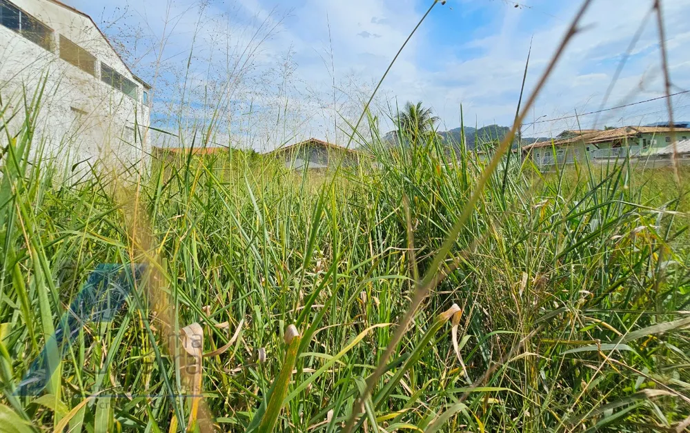 Terreno, 750 m² - Foto 5