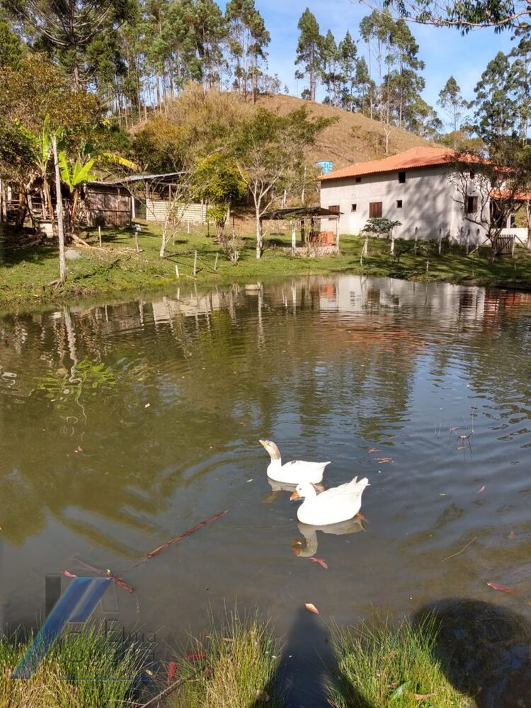 Sítio, 2 quartos, 2100 m² - Foto 17