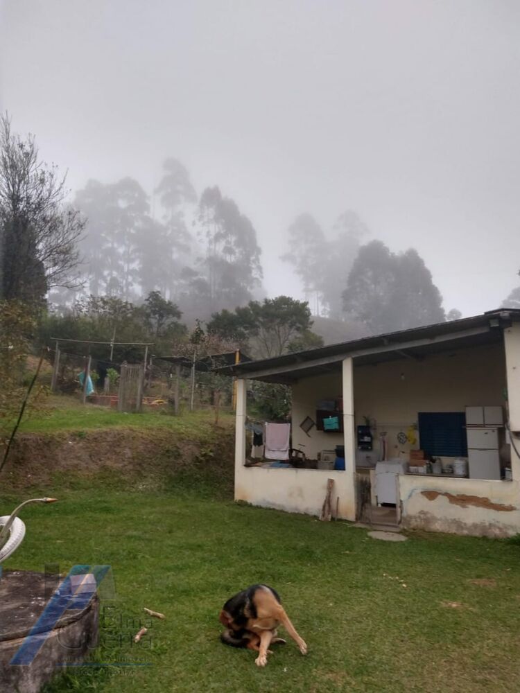 Sítio, 2 quartos, 2100 m² - Foto 4
