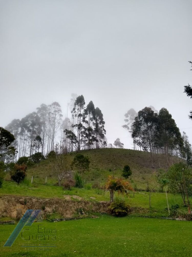 Sítio, 2 quartos, 2100 m² - Foto 19
