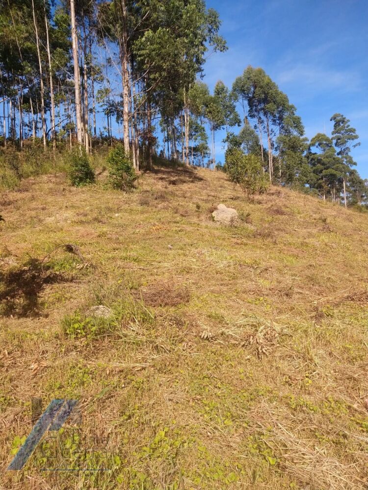 Sítio, 2 quartos, 2100 m² - Foto 5