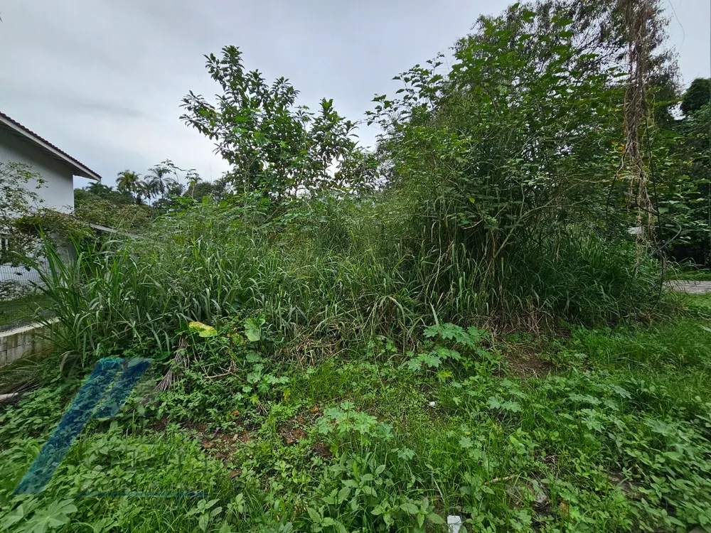Terreno, 450 m² - Foto 4