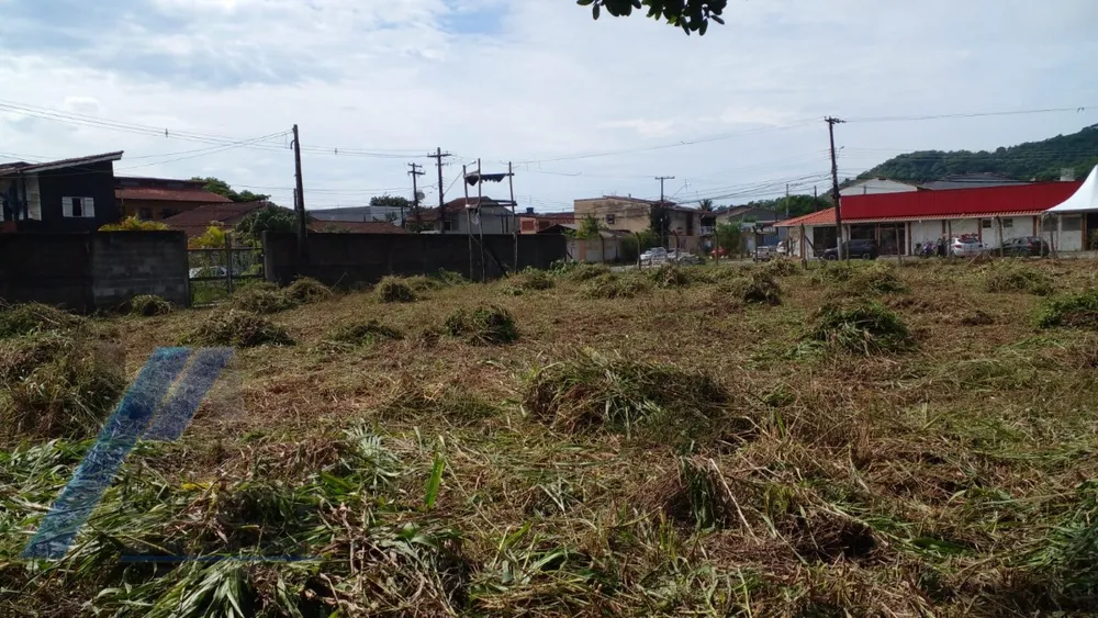 Terreno, 1500 m² - Foto 5
