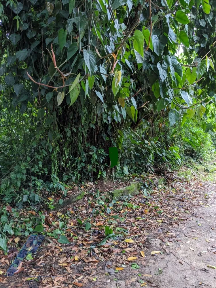 Terreno, 530 m² - Foto 6